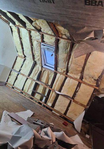 74d43271-839a-4400-ab38-3263b5291a04